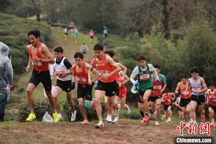 2025年全国越野跑锦标赛与第六届黄山越野跑在安